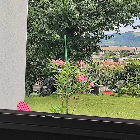 Rez-de-jardin Confort Avec Parking, Calme Assure