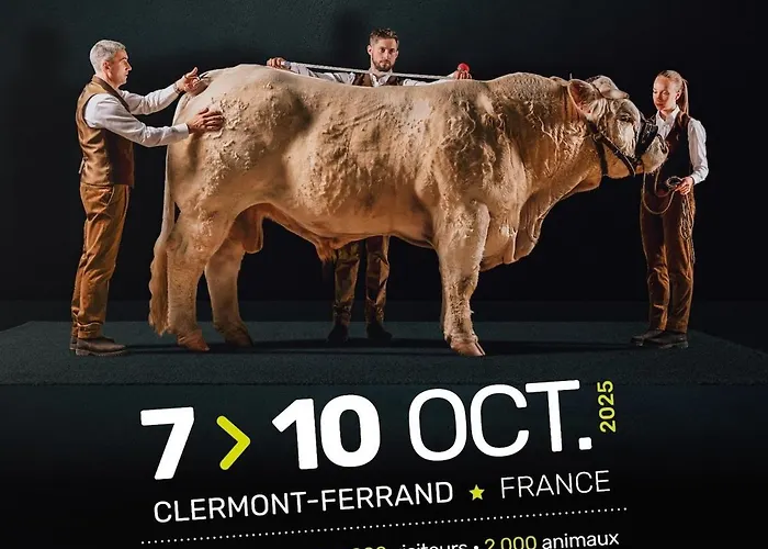 Rez-de-jardin Classe 2 Etoiles Avec Parking, Calme Assure * Lempdes